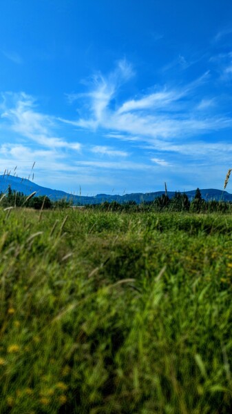 Photography titled "Depth of Field" by C.R. Kunferman, Original Artwork, Digital Photography