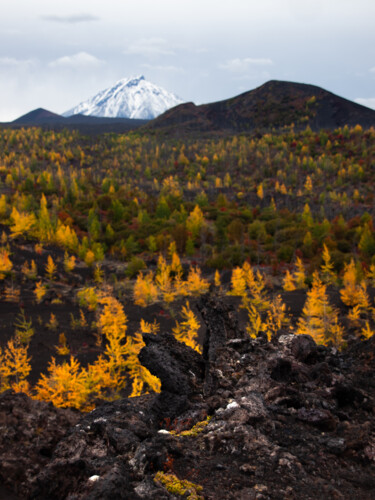 Autumn fire tongues Photography titled "Autumn fire tongues" by Nadia Sharova, Original Artwork, Digital Photography