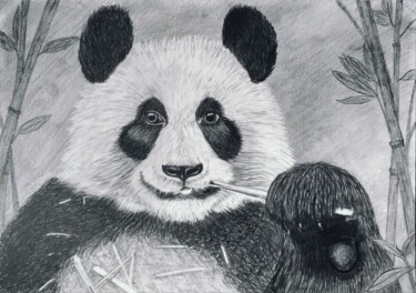 图画 标题为“Panda” 由Kseniya Martynova, 原创艺术品, 铅笔