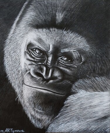 图画 标题为“Gorilla” 由Kseniya Martynova, 原创艺术品, 铅笔