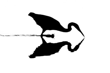 L’énigme des eaux miroitantes 摄影 标题为“L’énigme des eaux m…” 由Bastien Galiana, 原创艺术品, 数码摄影