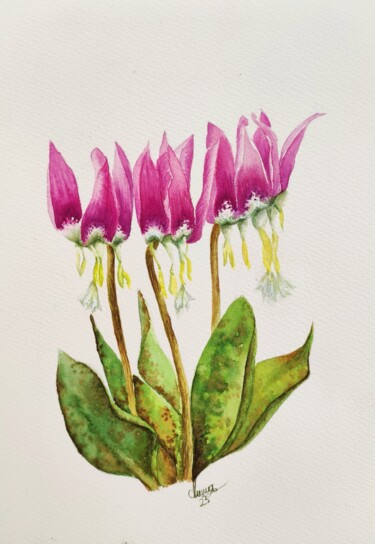 Liliaceae species flower "Liliaceae species f…" başlıklı Tablo Fineartderya tarafından, Orijinal sanat, Suluboya