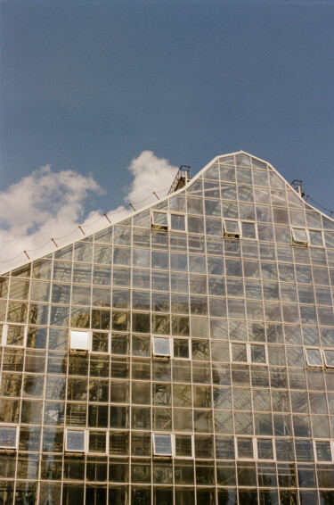 Photography titled "Own atmosphere" by Ekaterina Kastalskaya, Original Artwork, Analog photography