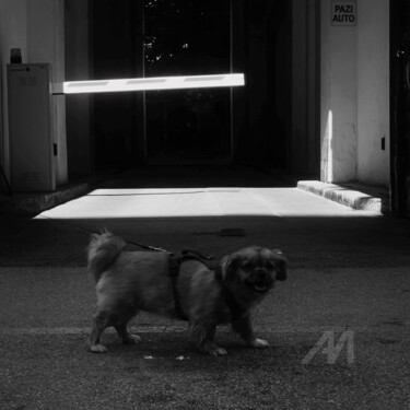 摄影 标题为“See you on the othe…” 由Alen Gurovic, 原创艺术品, 数码摄影