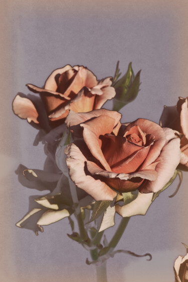 Photography titled "Flowerissimo_13899" by Michael Vdovin, Original Artwork, Digital Photography