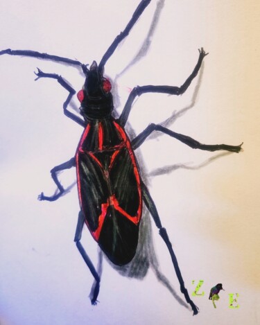 Malerei mit dem Titel "The Boxelder Bug of…" von Zen Lucero, Original-Kunstwerk, Aquarell