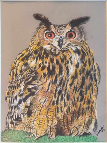 Peinture intitulée "Konan grand duc eur…" par Chantal De Rocker, Œuvre d'art originale, Pastel
