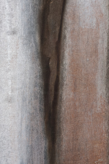 Photography titled "Révéler la matière…" by Olive, Original Artwork, Digital Photography