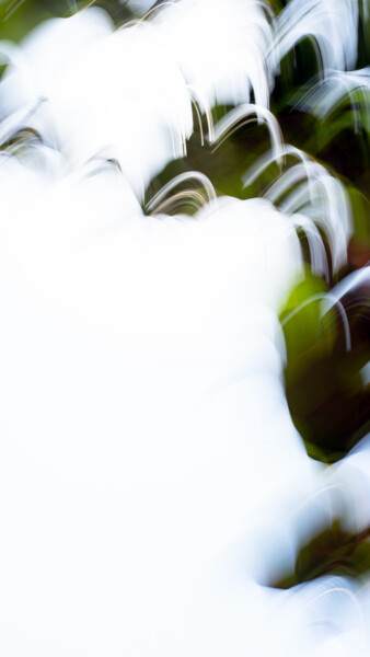 摄影 标题为“WHITE MOUVEMENT-A7-…” 由Michel Akrich, 原创艺术品, 数码摄影