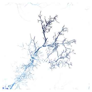 Photography titled "negative XXXII" by Zheka Khalétsky, Original Artwork, Non Manipulated Photography