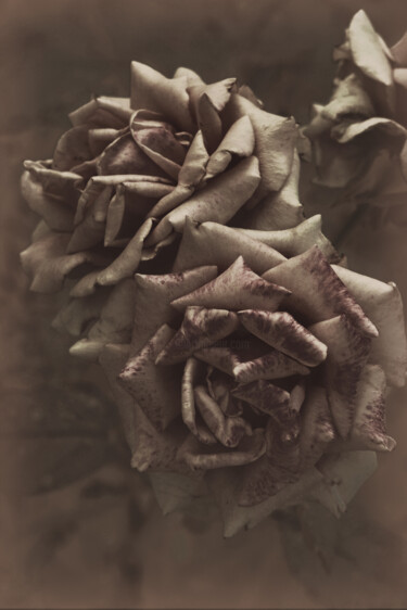 Photography titled "Flowerissimo_15051" by Michael Vdovin, Original Artwork, Digital Photography