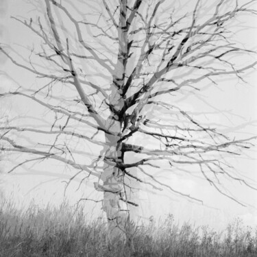 "Wielokrotność" başlıklı Fotoğraf Michał Wiśniecki tarafından, Orijinal sanat, Dijital Fotoğrafçılık