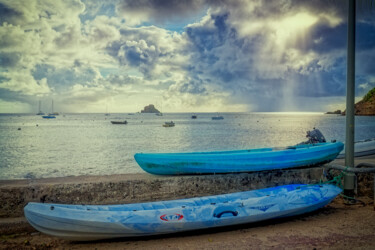 Photography titled "Bleu Corossol" by Michel Dol, Original Artwork, Digital Photography