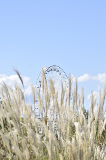 Φωτογραφία με τίτλο "la grande roue" από Laetitia Laplagne, Αυθεντικά έργα τέχνης, Ψηφιακή φωτογραφία
