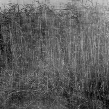 Photographie intitulée "Poruszenie" par Michał Wiśniecki, Œuvre d'art originale, Photographie numérique