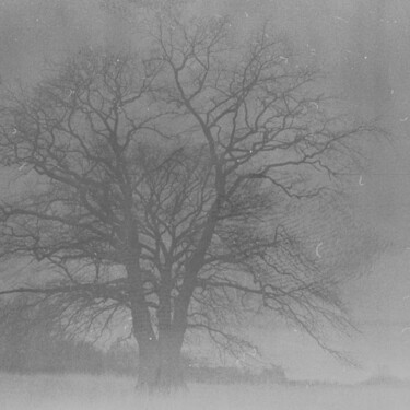 Fotografia zatytułowany „Odcisk” autorstwa Michał Wiśniecki, Oryginalna praca, Fotografia cyfrowa