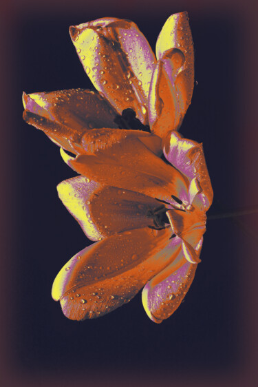 Fotografia intitulada "Flowerissimo_19660" por Michael Vdovin, Obras de arte originais, Fotografia digital
