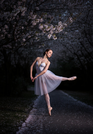 数字艺术 标题为“ballerina and cherr…” 由Caprice, 原创艺术品, AI生成的图像