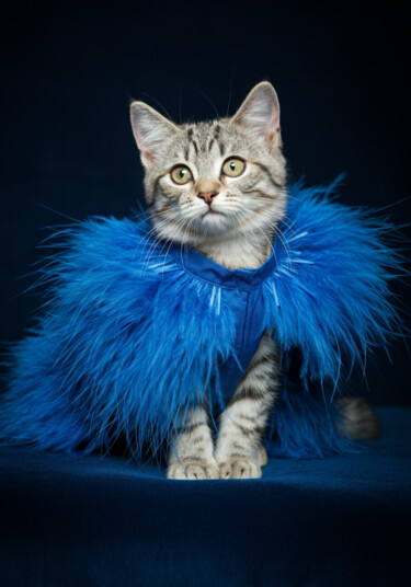 제목이 "cute tiger cat with…"인 디지털 아트 Caprice로, 원작, AI 생성 이미지