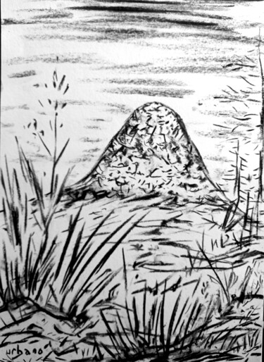 图画 标题为“Le Mont Gerbier de…” 由Roberto Urbano, 原创艺术品, 木炭
