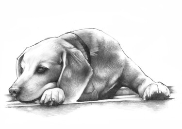 Disegno intitolato "Cagnolino" da O. Soniart, Opera d'arte originale, Grafite