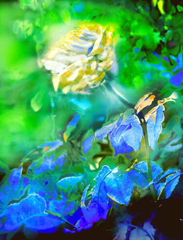 数字艺术 标题为“Proserpina Floral 13” 由Alfonso García, 原创艺术品, 数码摄影