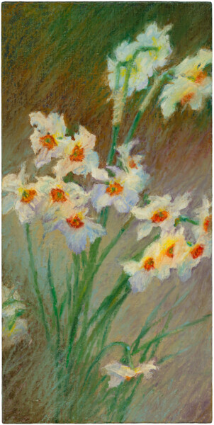 Painting titled "NARCISSES PROVENÇAUX" by Konoko, Original Artwork, Oil