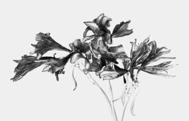Photographie intitulée "The Beauty in Dried…" par Lisa Trevino, Œuvre d'art originale, Photographie numérique