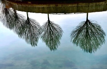 제목이 "Reflejo árboles"인 사진 E. L.로, 원작, 조작되지 않은 사진