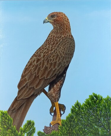 绘画 标题为“Falcon” 由Ekaterina Kusmartseva, 原创艺术品, 油 安装在木质担架架上