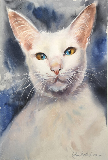 绘画 标题为“Angora cat” 由Olga Kaplenkova, 原创艺术品, 水彩