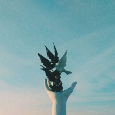 "Freedom" başlıklı Fotoğraf İRem Akçalı tarafından, Orijinal sanat, Fotoşoplu fotoğrafçılık
