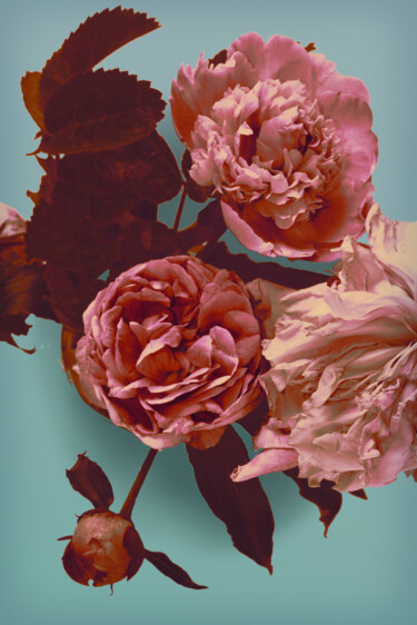 "Flowerissimo_16199" başlıklı Fotoğraf Michael Vdovin tarafından, Orijinal sanat, Dijital Fotoğrafçılık