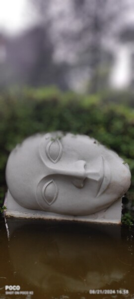摄影 标题为“Lateral view of a s…” 由Avik Chakravorty, 原创艺术品, 非操纵摄影