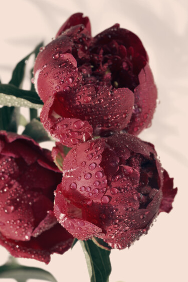 "Flowerissimo_11398" başlıklı Fotoğraf Michael Vdovin tarafından, Orijinal sanat, Dijital Fotoğrafçılık