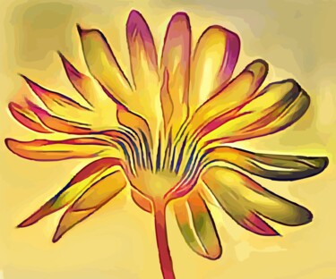 Digital Arts με τίτλο "Calendula" από Hrdesign111, Αυθεντικά έργα τέχνης, Ψηφιακή ζωγραφική