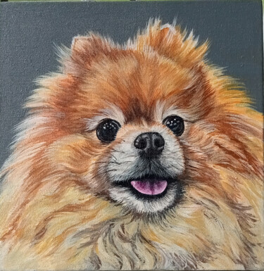 Spitz. Portrait of a dog. Portrait of a Spitz. Peinture intitulée "Spitz. Portrait of…" par Antonina Pavlic, Œuvre d'art originale, Acrylique Monté sur Châssis en bois