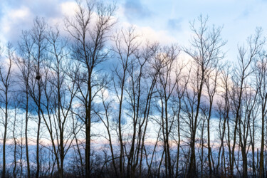 "March Morning" başlıklı Fotoğraf Gwendolyn Roth tarafından, Orijinal sanat, Dijital Fotoğrafçılık
