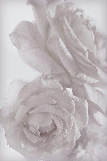 Fotografie getiteld "Flowerissimo_17459" door Michael Vdovin, Origineel Kunstwerk, Digitale fotografie