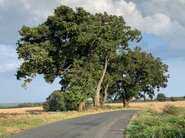 de retour de la Tour de Vesvre par grand vent