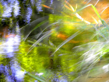 数字艺术 标题为“Nature abstract 5” 由Alfonso García, 原创艺术品, 数码摄影
