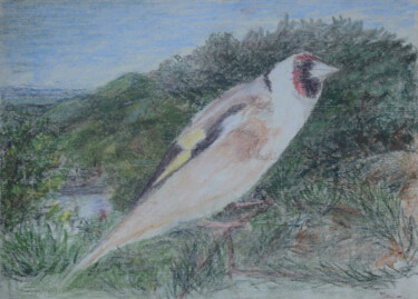 Dessin intitulée "Goldfinch in landsc…" par Paul Scott, Œuvre d'art originale, Pastel
