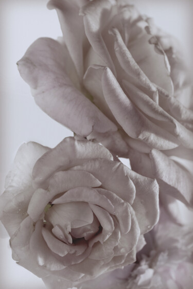Fotografia intitulada "Flowerissimo_17350" por Michael Vdovin, Obras de arte originais, Fotografia digital