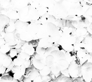 Photography titled "Geometric Symphony…" by Sanzhi Chieh, Original Artwork, Digital Photography