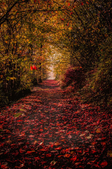 Photography titled "Le passage romantiq…" by Didier Livolsi, Original Artwork, Digital Photography
