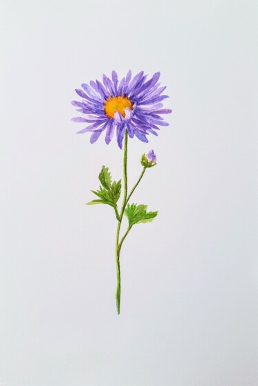 Watercolor September birth flower Aster 绘画 标题为“Watercolor Septembe…” 由Fineartderya, 原创艺术品, 水彩