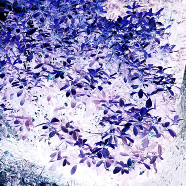 제목이 "negative XCII"인 사진 Zheka Khalétsky로, 원작, 조작되지 않은 사진
