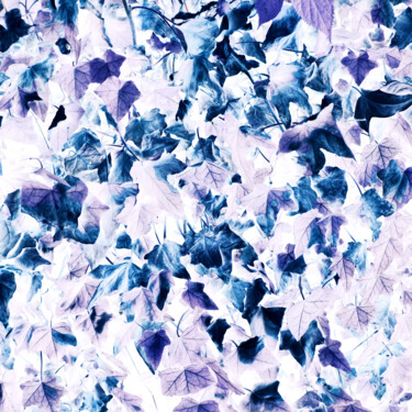 摄影 标题为“negative XCVI” 由Zheka Khalétsky, 原创艺术品, 非操纵摄影