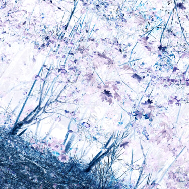 摄影 标题为“negative XCVIII” 由Zheka Khalétsky, 原创艺术品, 非操纵摄影