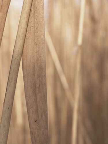 Photography titled "Геометрия осени №3…" by Nina Karymova (Nino), Original Artwork, Non Manipulated Photography